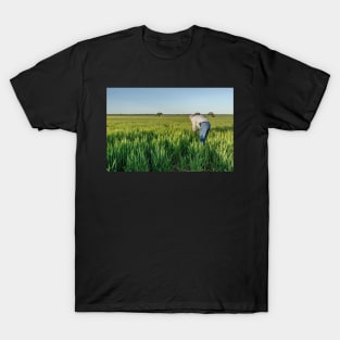 Barley fields T-Shirt